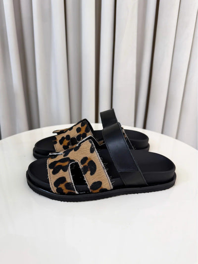 SOPHIE | LIMITED EDITION