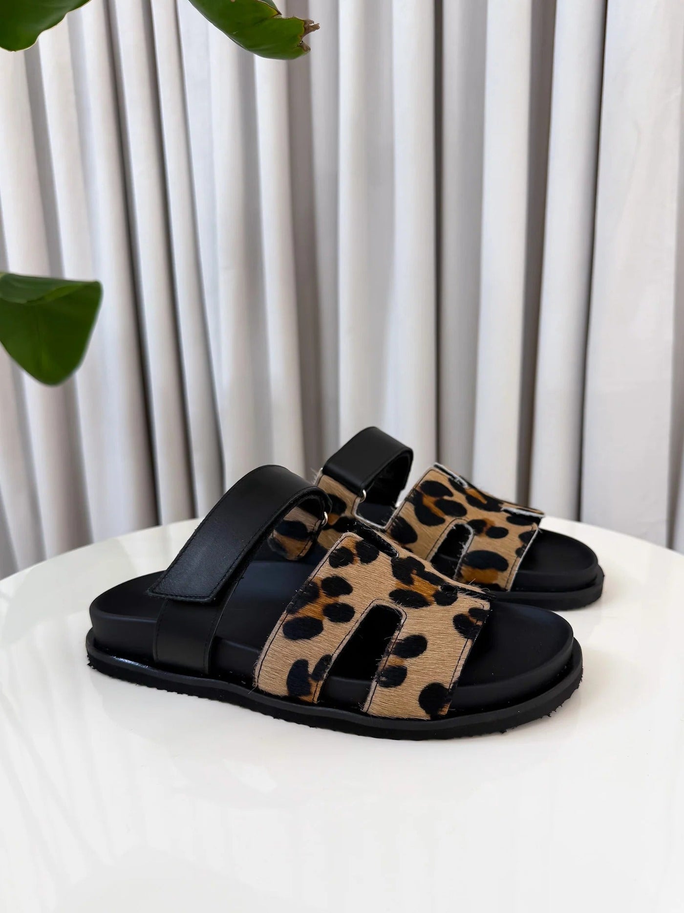 SOPHIE | LIMITED EDITION